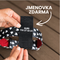 Jmenovka pro psa zdarma k obojku